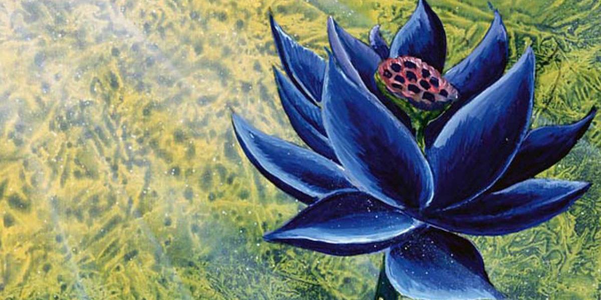MTG Blacker Lotus Unglued RARE Magic The Gathering Unsanctioned